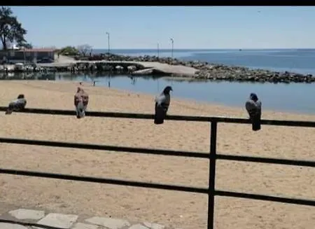 Daire Urban Kalamitsa *