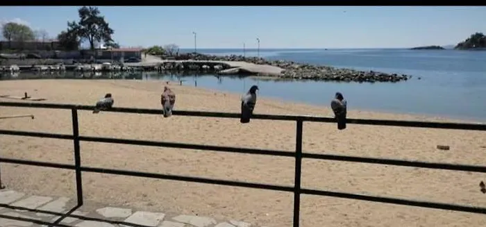 Apartament Urban Kalamitsa *